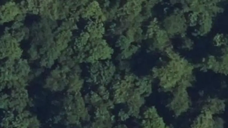 Vue aérienne du spot Etirement du tronc