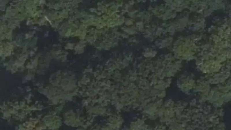 Vue aérienne du spot AccroCamp Forêt de meudon - Chaville, Route des Huit Bouteilles (2)