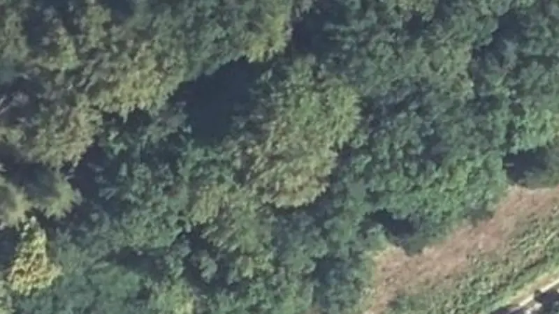 Vue aérienne du spot Arboretum du château