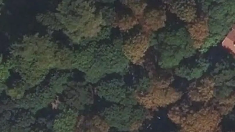 Vue aérienne du spot Aire de Fitness Parc aux Oiseaux