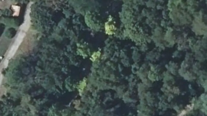 Vue aérienne du spot Échauffement du tronc