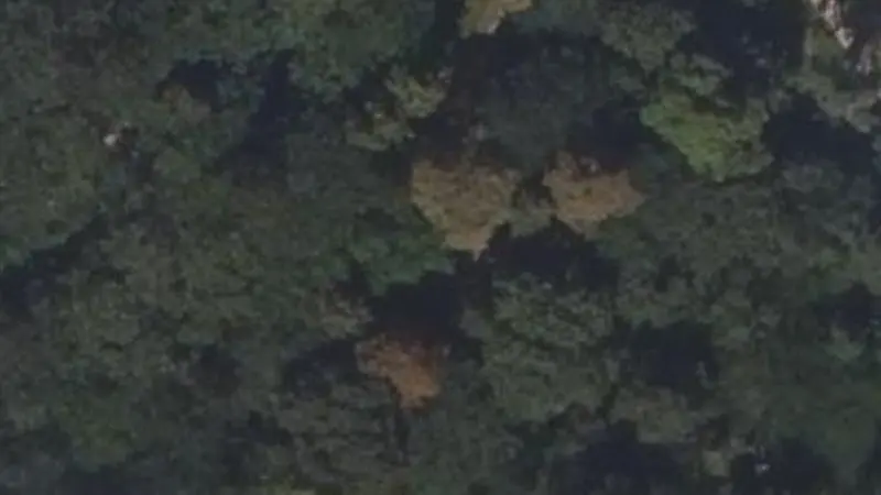 Vue aérienne du spot Pelouse de Reuilly, Avenue de Gravelle, barre fixe