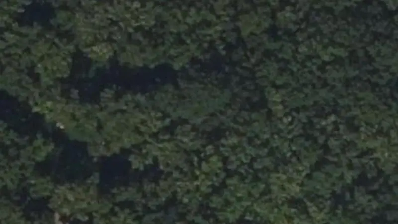 Vue aérienne du spot Accrobranches